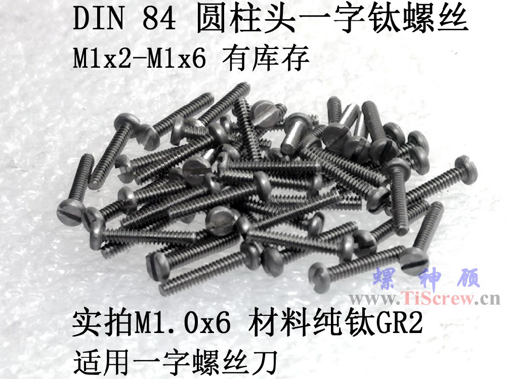 螺神顧DIN84 圓柱頭一字鈦螺絲M1x2x2.5x3x4x5x6 ISO1207
